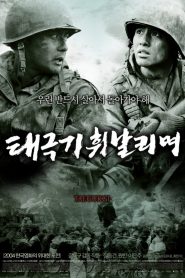 Tae Guk Gi The Brotherhood Of War (2004) เทกึกกี เลือดเนื้อ เพื่อฝัน วันสิ้นสงคราม