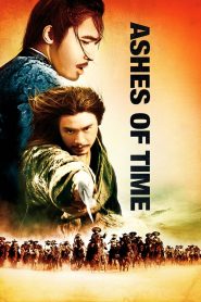Ashes Of Time Redux (2008) มังกรหยก ศึกอภิมหายุทธ