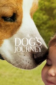 A Dogs Journey (2019) หมา เป้าหมาย และเด็กชายของผม 2