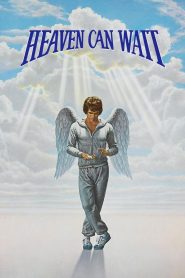Heaven Can Wait (1978) สวรรค์ต้องรอ