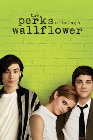 The Perks of Being a Wallflower (2012) วัยป่วนหัวใจปึ้ก