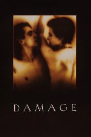 Damage (1992) ปรารถนาลึกสุดใจ