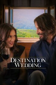 Destination Wedding (2018) ไปงานแต่งเขา แต่เรารักกัน