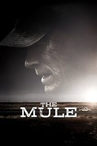 The Mule (2018) เดอะ มิวล์