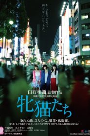 Dawn of the Felines (2017) หนังญี่ปุ่นที่อยู่ในกลุ่ม Roman Prono Reboot Project