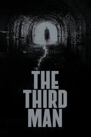 The Third Man (1949) ใครคือฆาตกร