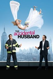 The Accidental Husband (2008) คุณผัวสายฟ้าแลบ