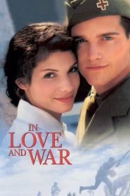 in love and War (1996) รักระหว่างรบ