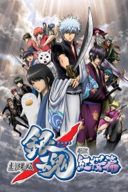 Gintama The Movie 1 Shinyaku Benizakura-hen (2010) กินทามะ เดอะมูฟวี่ 1 กำเนิดใหม่ดาบเบนิซากุระ