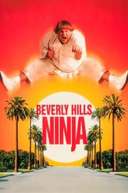 Beverly Hills Ninja (1997) ตุ้ยนุ้ยนินจาฮากลิ้ง