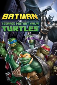 Batman vs Teenage Mutant Ninja Turtles 2019 แบทแมน ปะทะ เต่านินจา