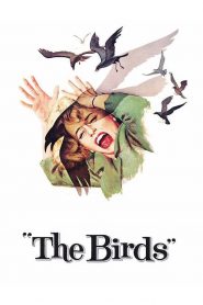 The Birds (1963) รักระหว่างสงครามนก