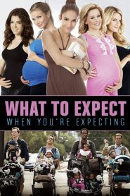 What to Expect When you re Expecting (2012) เธอ เริ่ด เชิด ป่อง