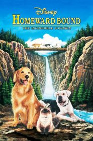 Homeward Bound: The Incredible Journey (1993) 2 หมา 1 แมว ใครจะพรากเราไม่ได้