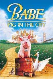 Babe Pig in the City (1998) เบ๊บ หมูน้อยหัวใจเทวดา ภาค 2