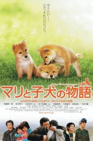 A Tale of Mori and Three Puppies (Mari to koinu no monogatari) (2007) เพื่อนซื่อ ชื่อ มาริ
