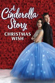 [NETFLIX] A Cinderella Story Christmas Wish (2019) สาวน้อยซินเดอเรลล่า คริสต์มาสปาฏิหาริย์