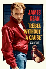 Rebel Without A Cause (1955) กบฏที่ไร้สาเหตุ