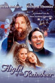 Flight of the Reindeer (2000) ผจญภัยเมืองมหัศจรรย์