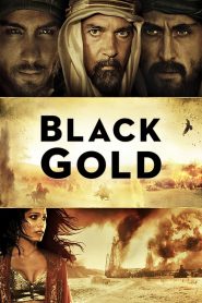 Black Gold (2011) แบล็ค โกลด์ ล่าขุมทองดับตะวัน