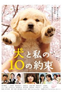 10 Promises to My Dog (2008) 10 ข้อสัญญาน้องหมาของฉัน