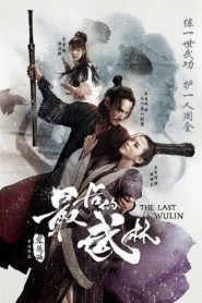 The Last Wulin (2017) ปิดตำนานบู้ลิ้ม ภาค 1