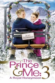 The Prince & Me A Royal Honeymoon (2008) เจ้าชาย & ฉัน รอยัลฮันนีมูน