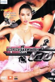 The Sexy Spy (2004) เสือสิงห์กระทิงเล้ง