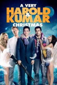 A VERY HAROLD & KUMAR 3D CHRISTMAS (2011) แฮโรลด์กับคูมาร์ คู่ป่วงคริสต์มาสป่วน