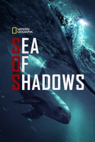 Sea of Shadows (2019) ทะเลแห่งเงา