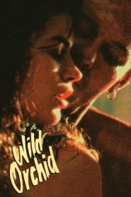 WILD ORCHID (1989) ไวล์ด ออร์คิด กล้วยไม้ป่าคอนกรีต