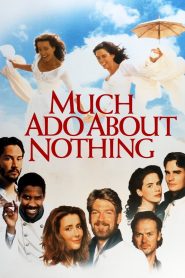 Much Ado About Nothing (1993) รักจะแต่งต้องแบ่งหัวใจ