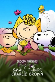 Snoopy Presents Its the Small Things Charlie Brown (2022)