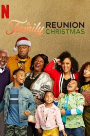 A Family Reunion Christmas (2019) บ้านวุ่นกรุ่นรักฉลองคริสต์มาส