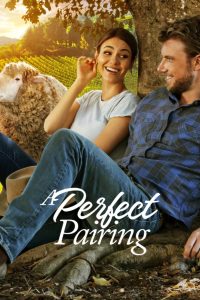 [NETFLIX] A Perfect Pairing (2022) คู่นี้… คือเพอร์เฟค