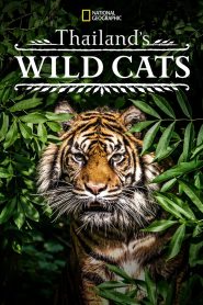 Thailands Wild Cats (2021)