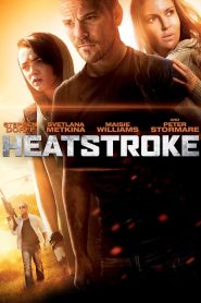 Heatstroke (2013) อีกอึดหัวใจสู้เพื่อรัก