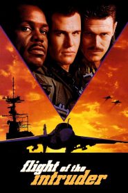 Flight of the Intruder (1991) สงคราม ความหวัง ความตาย