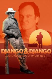 Django and Django (2021)
