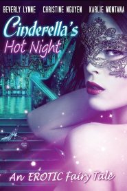 Cinderellas Hot Night (2017) คืนร้อนของซินเดอเรลล่า