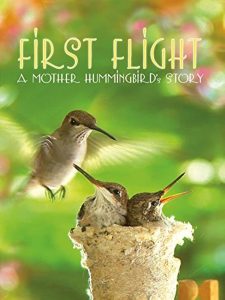 First Flight A Mother Hummingbirds Story (2009)