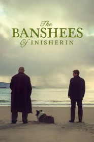 The Banshees Of Inisherin (2022) แบนชีผีแค้นแห่งเกาะไอนิเชอริน