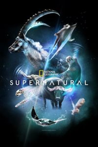 Super/Natural (2022) Season 1