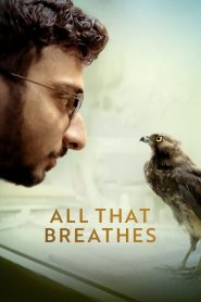 All That Breathes (2022) อย่าให้ลมสิ้นไป