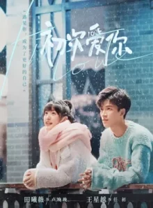 First Love (2022) วุ่นนัก โจทย์รักแรก EP.1-24 (จบ)