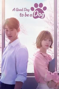 A Good Day To Be A Dog (2023) จูบรักปลดล็อก EP.1-14 (จบ)