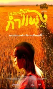 THE WALL (2018) เณรกระโดดกำแพง