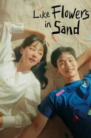 Like Flowers in Sand (2023) ดอกไม้สังเวียนทราย EP.1-12 (ยังไม่จบ)